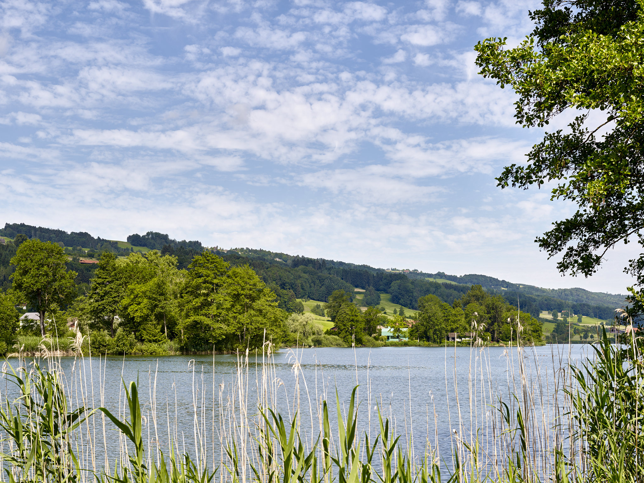 E15543 Alpa 051870 SCREEN